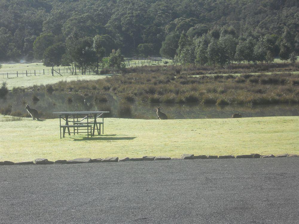 Halls Gap Motel Bagian luar foto