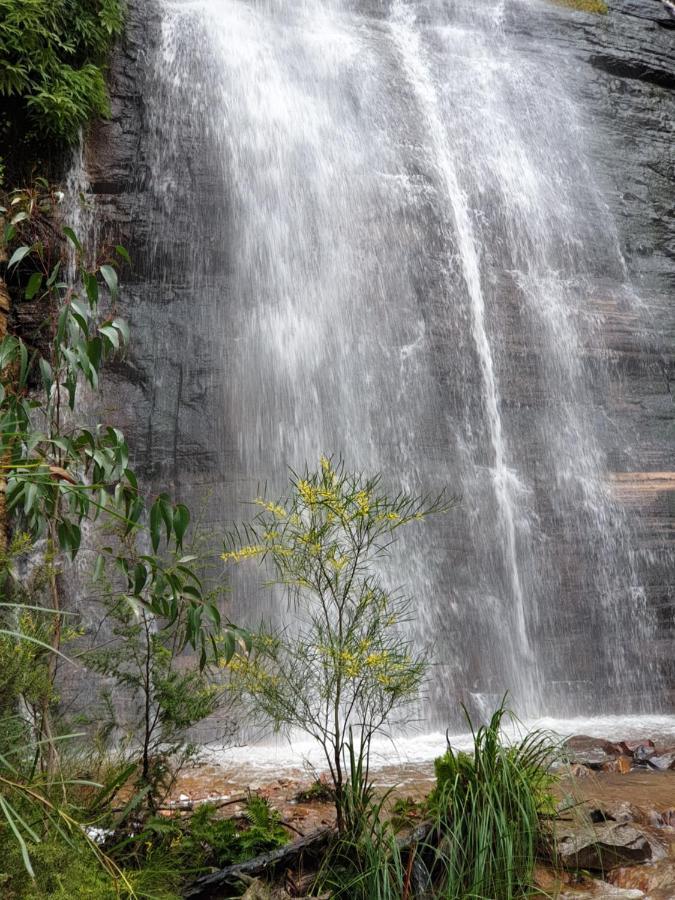 Halls Gap Motel Bagian luar foto