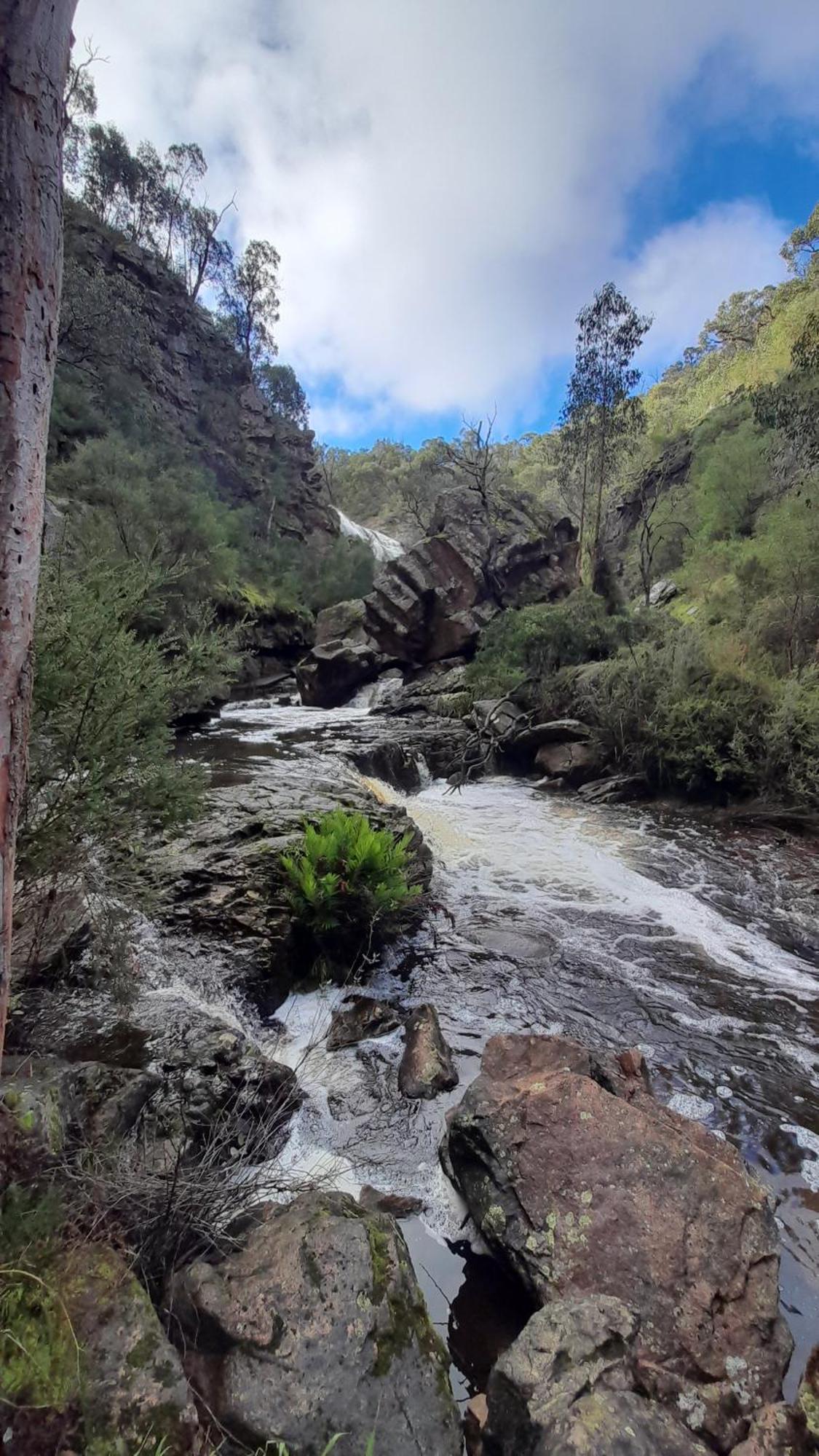 Halls Gap Motel Bagian luar foto