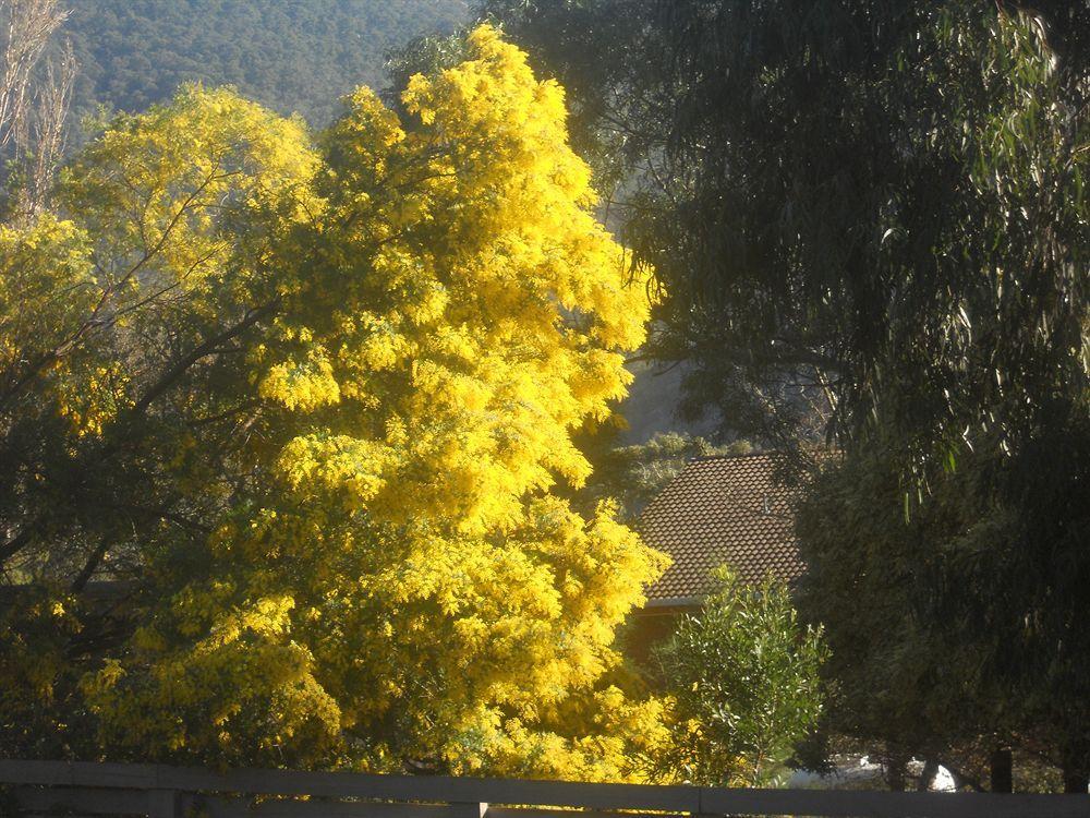 Halls Gap Motel Bagian luar foto