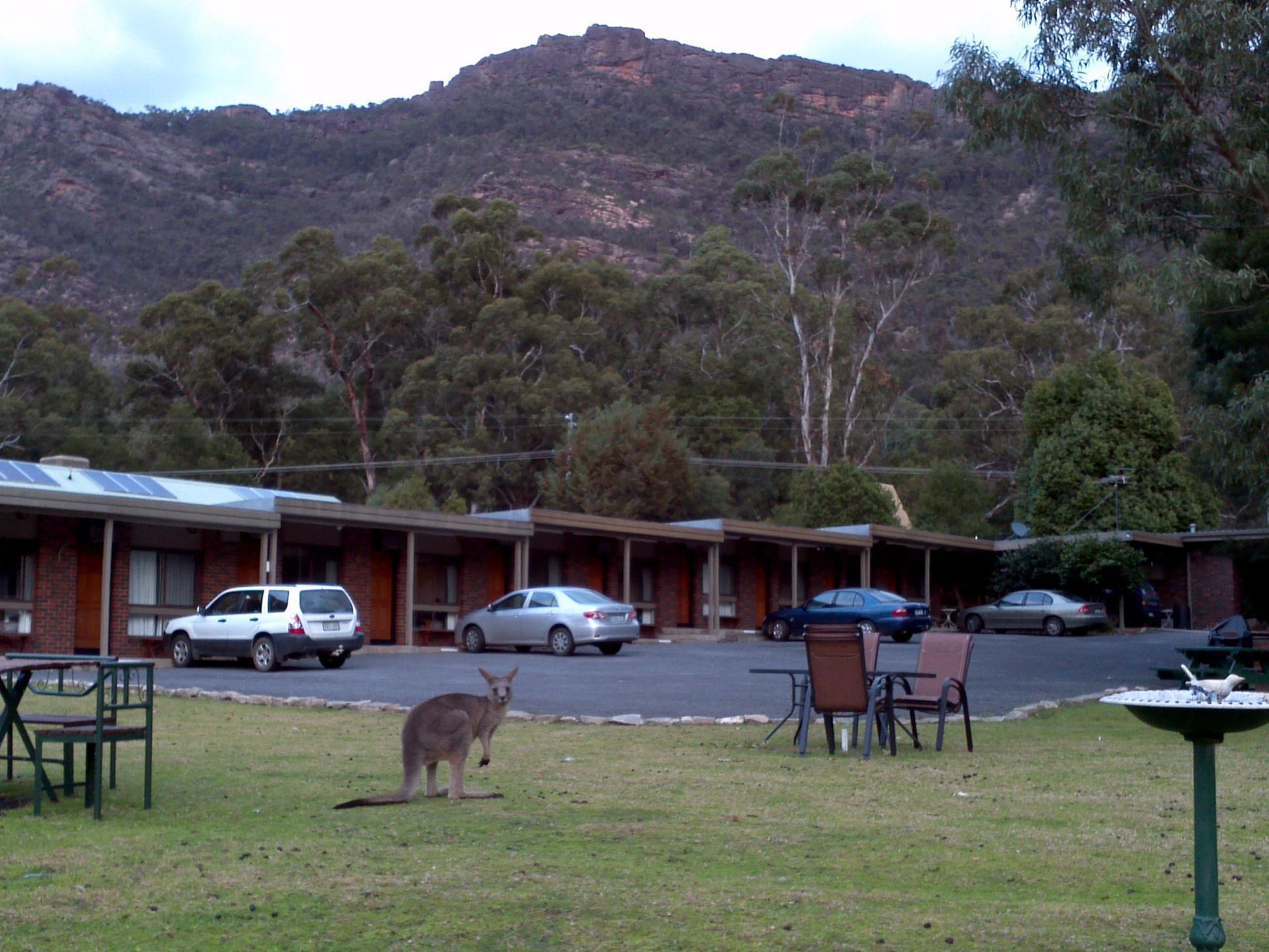 Halls Gap Motel Bagian luar foto