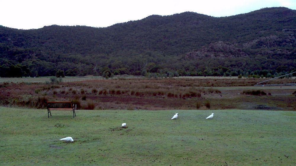 Halls Gap Motel Bagian luar foto
