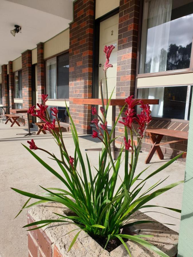 Halls Gap Motel Bagian luar foto
